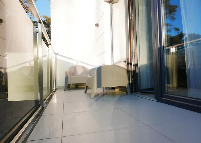 Marco Polo * Dziwnówek