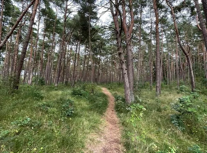 Marco Polo * Dziwnówek